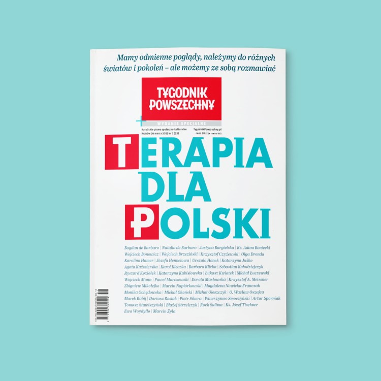 TP sklep spece okładka_Terapia_pole bezpieczne.jpg