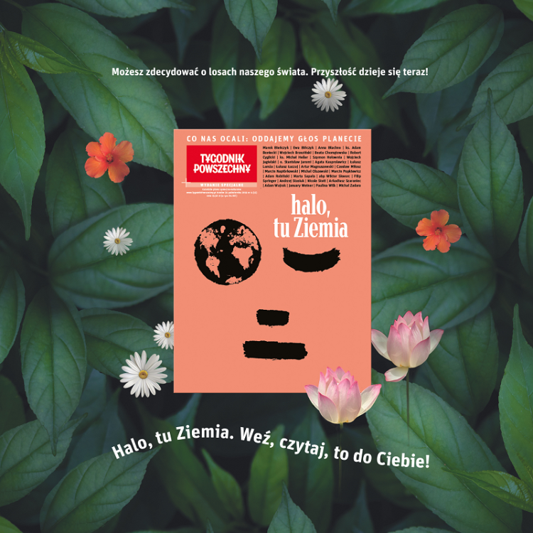 HaloTuZiemia-800x800.png