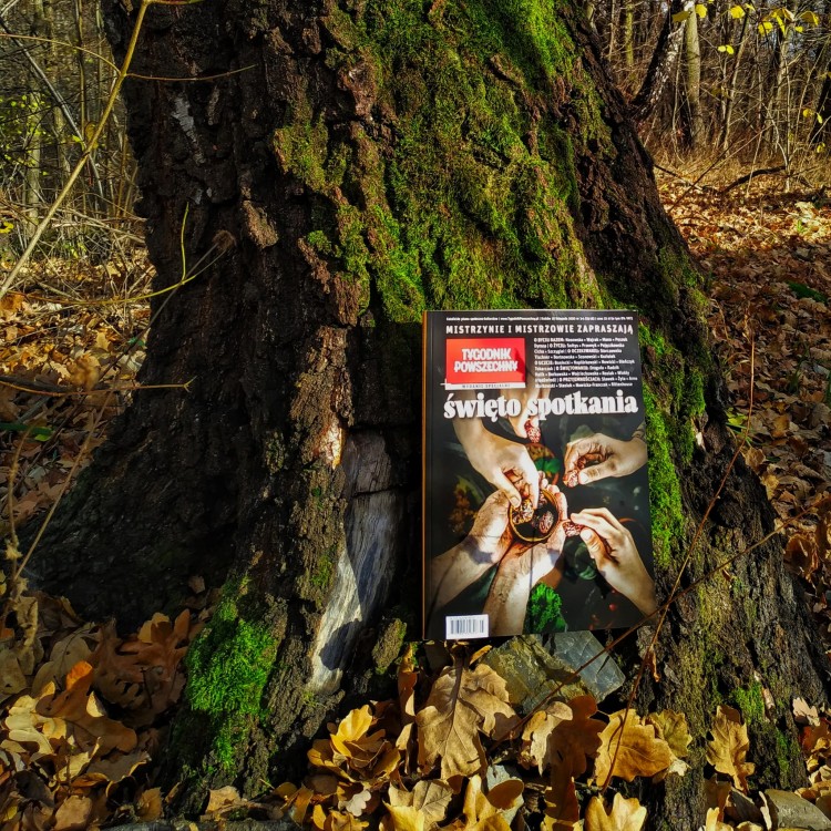 IMG_20201120_113429-01.jpeg